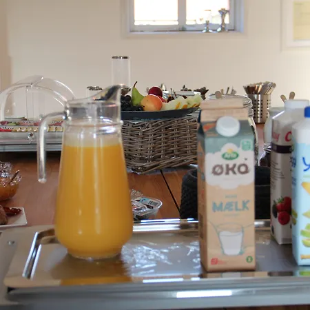 Danhostel Kragsbjerggaard Odense